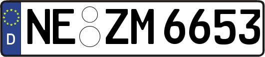 NE-ZM6653
