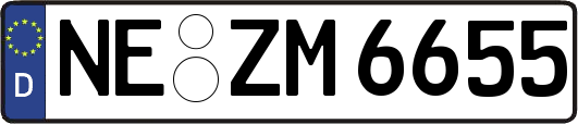 NE-ZM6655