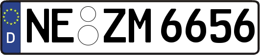 NE-ZM6656