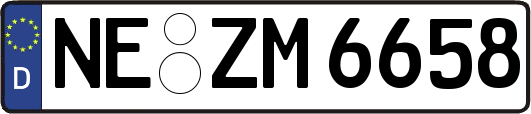 NE-ZM6658