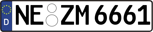 NE-ZM6661