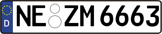 NE-ZM6663