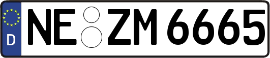NE-ZM6665