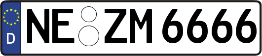 NE-ZM6666