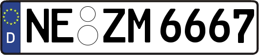 NE-ZM6667
