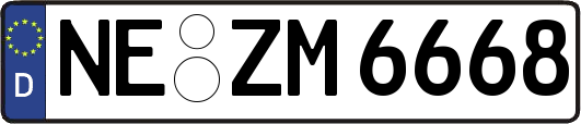 NE-ZM6668