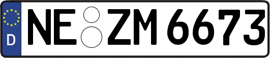 NE-ZM6673