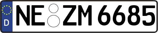 NE-ZM6685