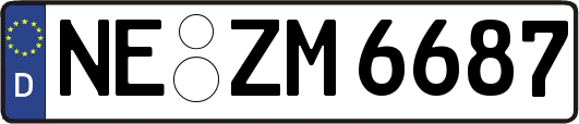 NE-ZM6687