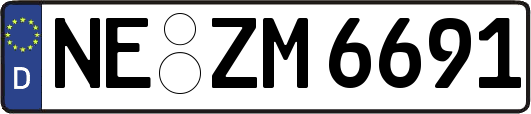 NE-ZM6691