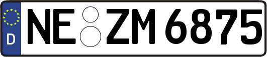 NE-ZM6875