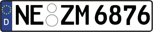 NE-ZM6876