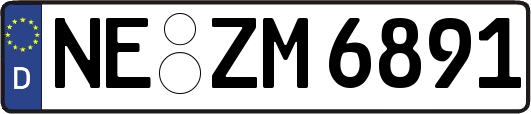 NE-ZM6891