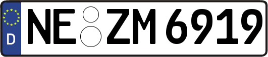 NE-ZM6919