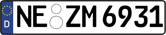 NE-ZM6931