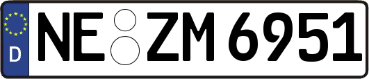 NE-ZM6951