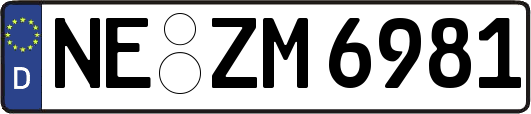 NE-ZM6981