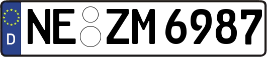 NE-ZM6987