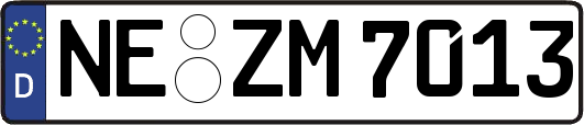 NE-ZM7013