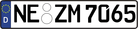 NE-ZM7065