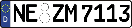 NE-ZM7113