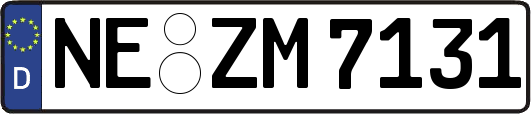NE-ZM7131