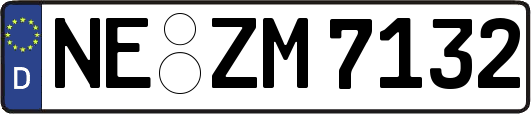 NE-ZM7132
