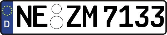 NE-ZM7133