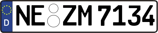 NE-ZM7134