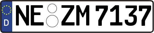 NE-ZM7137