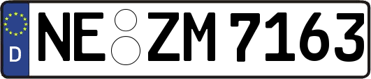 NE-ZM7163