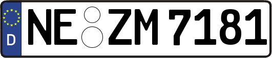 NE-ZM7181