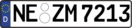 NE-ZM7213