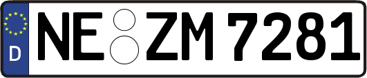 NE-ZM7281