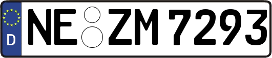 NE-ZM7293
