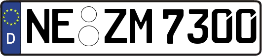 NE-ZM7300