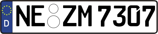 NE-ZM7307