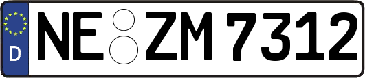 NE-ZM7312