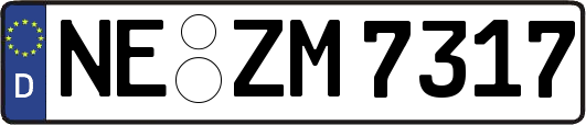 NE-ZM7317