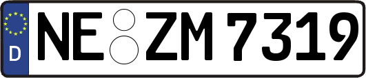 NE-ZM7319
