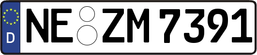 NE-ZM7391