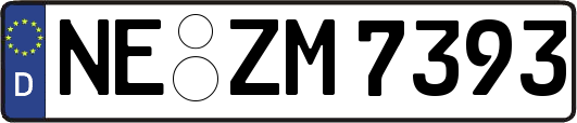 NE-ZM7393