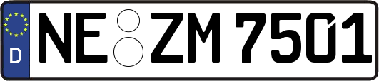 NE-ZM7501