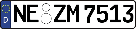 NE-ZM7513