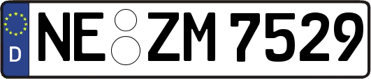 NE-ZM7529