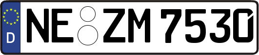 NE-ZM7530
