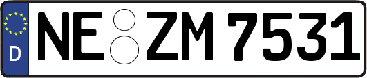 NE-ZM7531