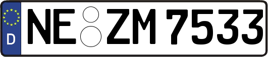 NE-ZM7533