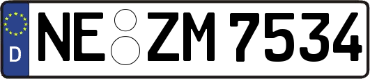 NE-ZM7534