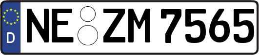 NE-ZM7565